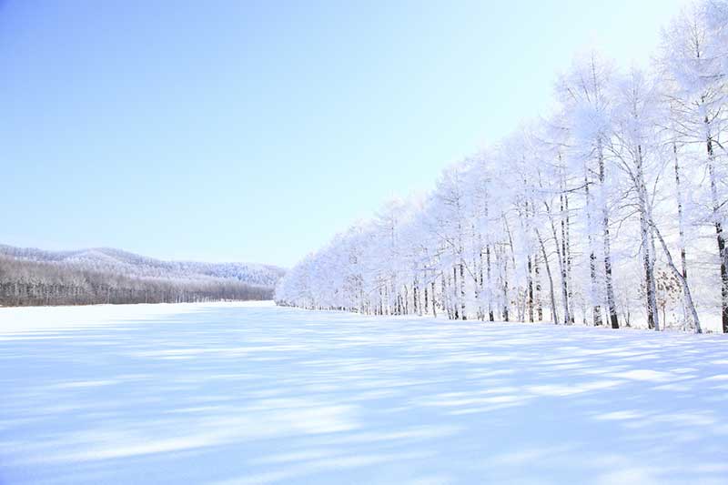 高雄巨蛋冬季旅展熱門主打五福日本北海道雪景